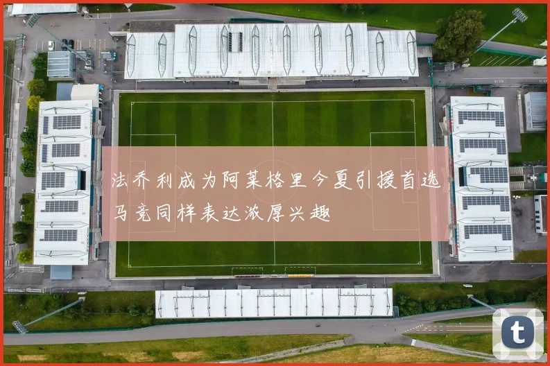 法乔利成为阿莱格里今夏引援首选马竞同样表达浓厚兴趣